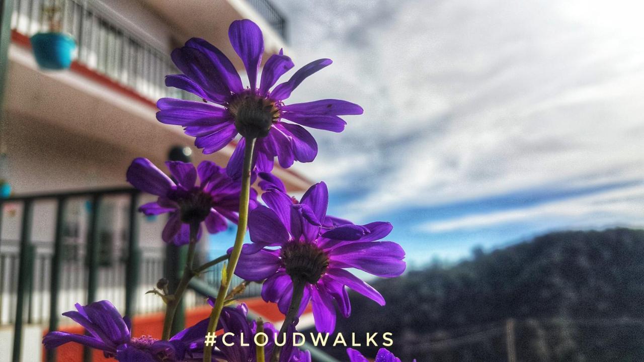Cloudwalks كوديكانال المظهر الخارجي الصورة